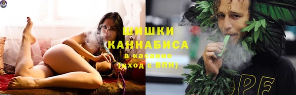 прущие крисы Надым