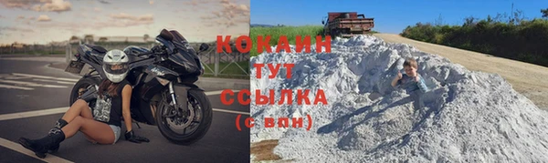 прущие крисы Надым