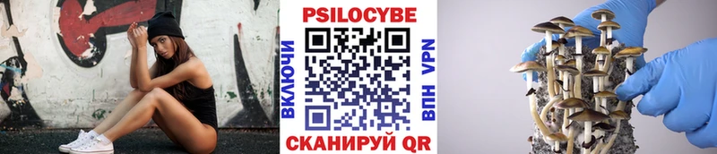 Псилоцибиновые грибы мухоморы  купить наркотик  Тарко-Сале 